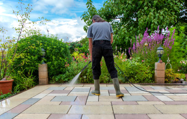 Best Fence Cleaning  in La Luz, NM